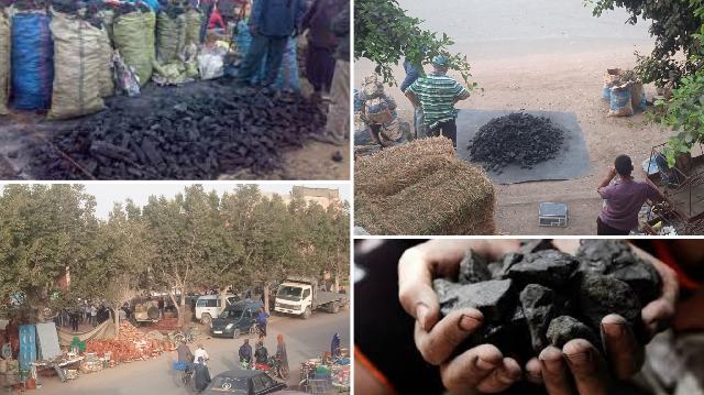 بلفاع أشتوكة أيت باها: ظاهرة انتشار بائعي الفحم الخشبي رغم وجود سوق خاص بالمنطقة