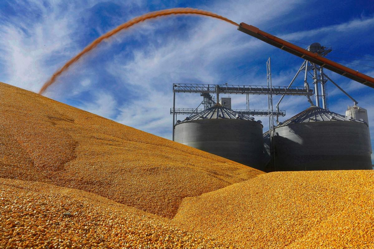 المغرب يستورد 8,8 مليون طن من الحبوب عقب انخفاض الانتاج الوطني