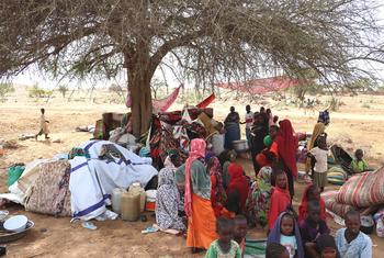 فرار 200 ألف سوداني خارج البلاد- والأمم المتحدة توسع نطاق الإغاثة