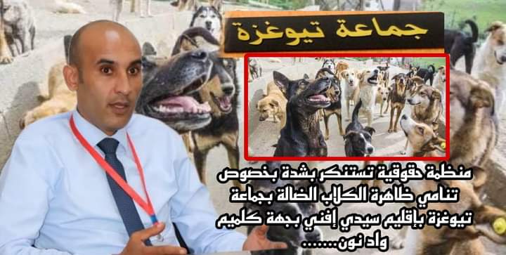 بيان استنكاري بخصوص تنامي ظاهرة الكلاب الضالة بجماعة تيوغزة بإقليم سيدي إفني.