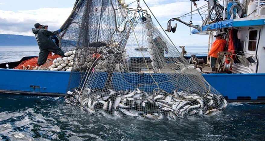 الحكومة تصادق على مشروع قانون لتشجيع الاستغلال العقلاني للثروة البحرية ومحاربة الصيد غير القانوني