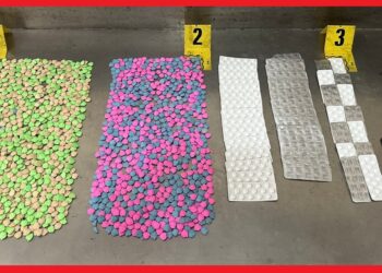 توقيف شخص بحوزته 2490 قرصًا مخدرًا بأكادير بناءً على معلومات دقيقة للمديرية العامة لمراقبة التراب الوطني