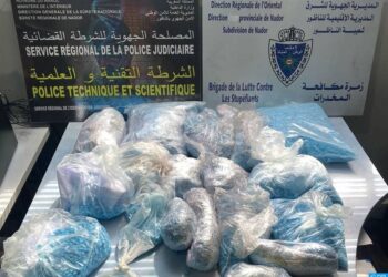 الميناء البحري بني أنصار .. إجهاض محاولة لتهريب أزيد من 53 ألف قرص مهلوس