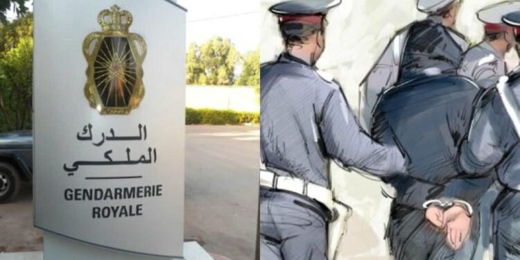 تفكيك عصابة إجرامية متخصصة في سرقة المواشي وإيقاف زعيمها بسيدي بوعثمان