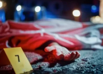 جريمة مروعة تهز مكناس.. شاب ينهي حياة والدته بحي البساتين
