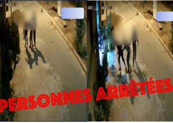 توقيف ثلاثة أشخاص بمراكش لتورطهم في التخدير وإلحاق خسائر مادية بممتلكات خاصة