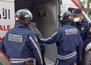 توقيف شخصين بأسفي بعد تهديدات خطيرة وتحريض كلاب شرسة على عناصر الشرطة