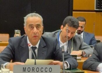 السيد عبد اللطيف حموشي يجري زيارة عمل إلى فيينا