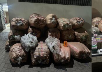 توقيف ثلاثة مشتبه فيهم في عملية مشتركة بسطات وخريبكة وابن أحمد وحجز كميات كبيرة من المخدرات