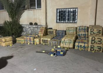 إحباط عملية تهريب ضخمة للمخدرات بوادي زم وتوقيف أربعة مشتبه فيهم في حالة تلبس