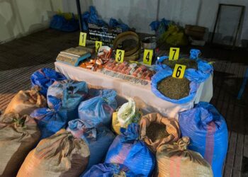 توقيف شخصين بالناظور وحجز أزيد من 600 كلغ من الكيف وسيجارة محشوة بالحشيش داخل منزل معد للترويج