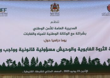 المعهد الملكي للشرطة يحتضن يوما دراسيا حول موضوع”حماية الثروة الغابوية والوحيش “