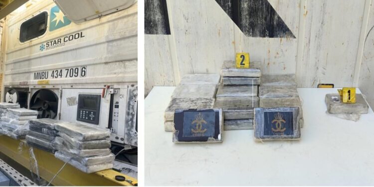 إجهاض محاولة تهريب 25 كيلوغراما من الكوكايين بميناء طنجة المتوسط ضمن حاوية قادمة من أمريكا الجنوبية