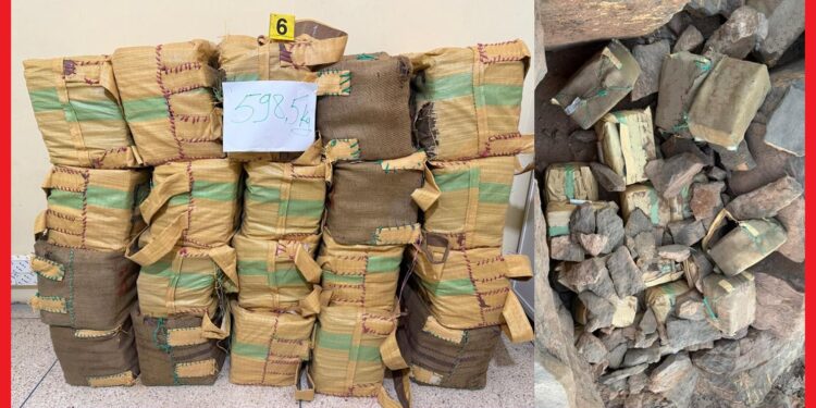 إحباط عملية تهريب دولي للمخدرات بطاطا وحجز أزيد من 598 كلغ من الشيرا
