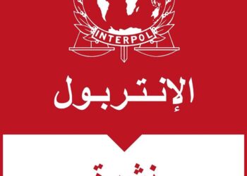 توقيف مواطن صيني بمطار محمد الخامس للاشتباه في تورطه في قرصنة الاتصالات والمس بنظم المعالجة الرقمية