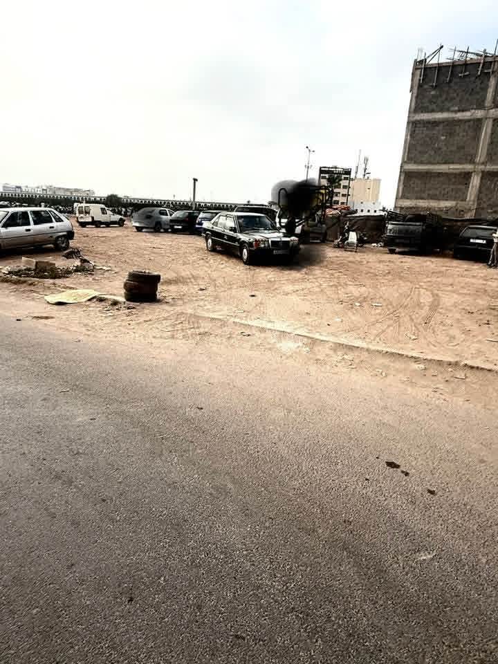 إنزكان.. فوضى المرابد “العشوائية” تتحول إلى تجارة تدرّ ذهباً