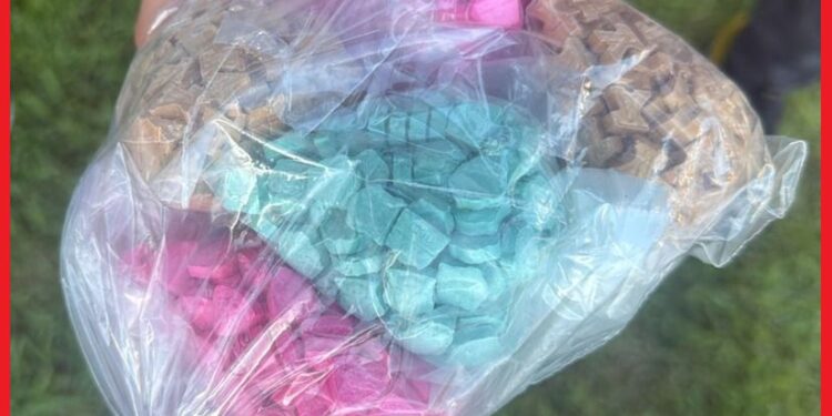 طنجة.. توقيف شاب بحوزته 1000 قرص مهلوس وكوكايين بمحطة القطار