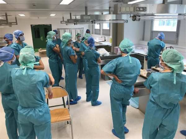 وزارة الصحة تطلق حملة توظيف تهم 800 منصب لفائدة أطر هيئة الممرضين وتقنيي الصحة