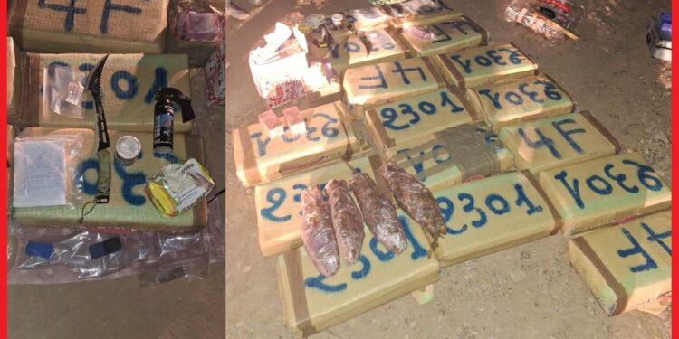 الأمن الجهوي بورزازات يُحبط محاولة تهريب 458 كيلوغرامًا من مخدر الشيرا بعد تبادل لإطلاق النار