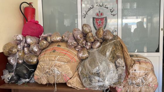 سقوط شبكة للاتجار في المخدرات بأولاد تايمة وحجز كميات ضخمة من القنب الهندي والتبغ المهرب