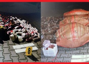 إحباط عملية كبرى لترويج المخدرات بضواحي القنيطرة وحجز أزيد من 800 كيلوغرام من المواد المحظورة