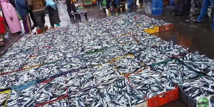 توتر في قطاع الصيد البحري بعد فرض المكتب الوطني للصيد إجراءات مالية جديدة بأسواق السمك