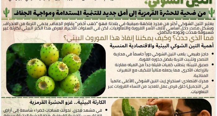 التين الشوكي من ضحية للحشرة القرمزية إلى أمل جديد للتنمية المستدامة ومواجهة الجفاف