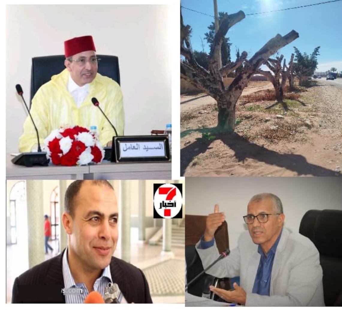 جدل الأشجار المقتَلعة ببيوكرى يتصاعد.. مطالب بتدخل عامل الإقليم وفتح تحقيق لكشف الحقيقة